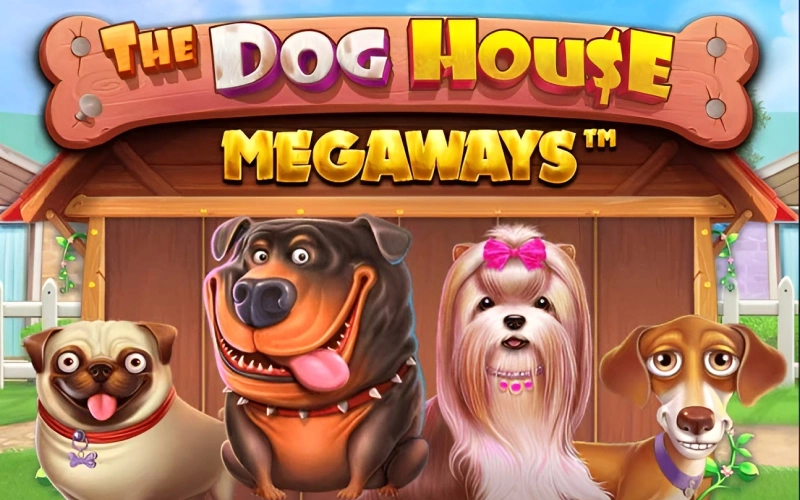 The Dog House Megaways oyununu Candy Casino kalitesiyle hemen oyna.